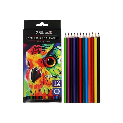Карандаши цветные, 12 цветов, Calligrata TOP, шестигранные, пластиковые