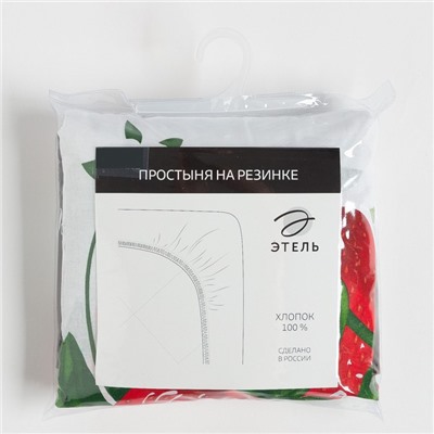 Простыня на резинке 2-спальная «Этель. Виктория», 160×200+25 см, бязь