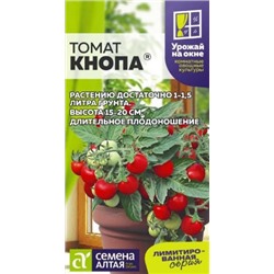 Томат Кнопа очень ранний Сем.Алтая