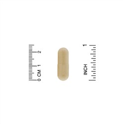 Organic India, амла, 90 вегетарианских капсул