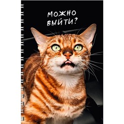 Тетрадь А4  80л клетка на спирали "Котики" + лист с наклейками ТС2Л4805211 Listoff