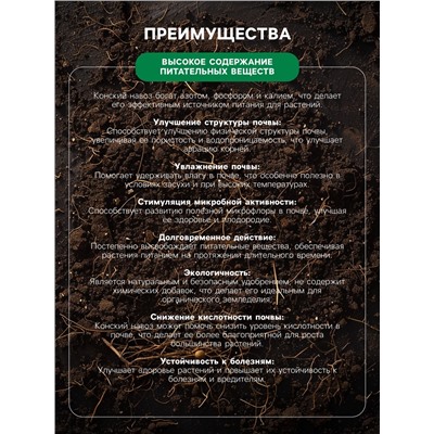 Органическое удобрение Конский навоз, экстракт, канистра, Ивановское, 3 л