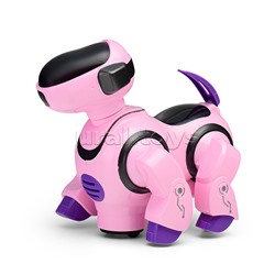 Собака "Зажигательный танец" в коробке