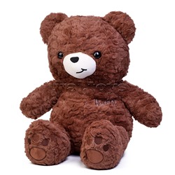 Мягкая игрушка "Медведь" с пледом (110х150)