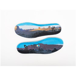 Кроссовки Di’orr Greenwood x Nike SB Dunk High