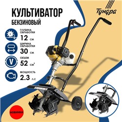 Культиватор бензиновый ТУНДРА, 2.3 л.с., 1700 Вт, 1 скорость, ширина 30 см, глубина 12 см 9