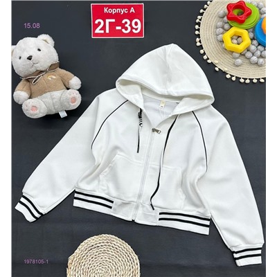 кофта 1978105-1