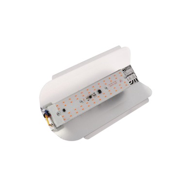 Фитопрожектор для растений Luazon Lighting СДО09-50, светодиодный, 50 Вт, IP65, 220 В, бескорпусный, мультиспектральный