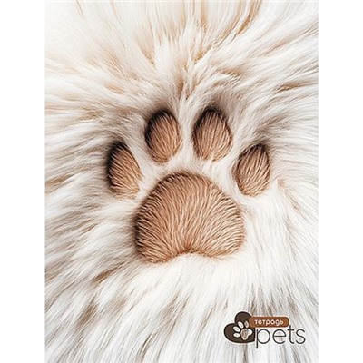 Тетрадь  80л линейка на спирали "Пушистая лапка" второй блок С0063-06 КТС-ПРО