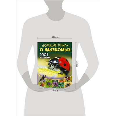 АСТ Спектор А.А. "Большая книга о насекомых. 1001 фотография"