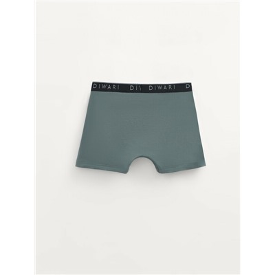 Шорты DIWARI PREMIUM MSH 1568 Трусы мужские