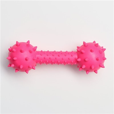 Игрушка жевательная «Грозная гантель», 15×5 см, розовая