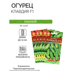 Семена Огурец «Клавдия», F1, раннеспелый, партенокарпический, набор 5 шт., «Мой выбор»