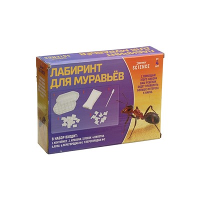 УЦЕНКА Набор для опытов «Лабиринт для муравьёв»