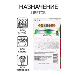 Семена цветов Пеларгония зональная Люстра Скарлет, 5шт