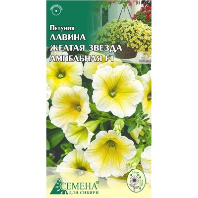 Петуния Лавина Желтая звезда амп. F1, 10сем (цв.)