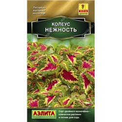 Колеус Нежность (Аэлита)