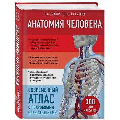 Эксмо Г. Л. Билич, Е. Ю. Зигалова "Анатомия человека. Современный атлас с подробными иллюстрациями"