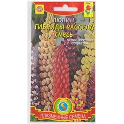 Люпин Гибриды Расселя (Код: 75997)
