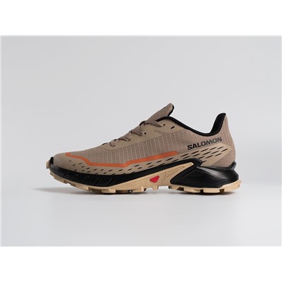 Кроссовки Salomon Alphacross 5 GTX