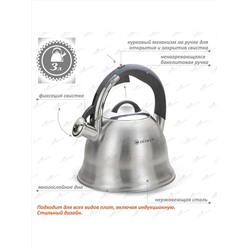 ZEIDAN Чайник Z-4453