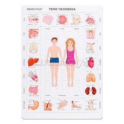Мемо Пазл "Тело Человека"