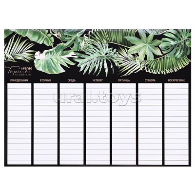 Планер на неделю магнитно-маркерный многоразовый "Tropicana" А3 (420x297 мм), ламинированный, цветная печать, пластиковый пакет