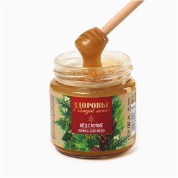 Мёд с мумиё «Здоровье в каждой ложке», новогодний подарок