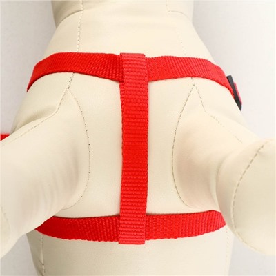 Комплект «Базис», поводок 120×1.5 см, шлейка 32-46×1.5 см, красный