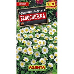 Хризантема Белоснежка (Аэлита)