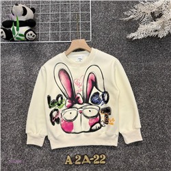 кофта с начесом 2050755-3