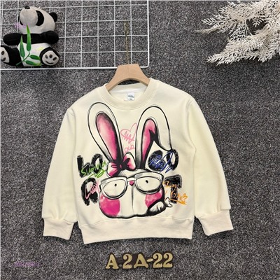 кофта с начесом 2050755-3