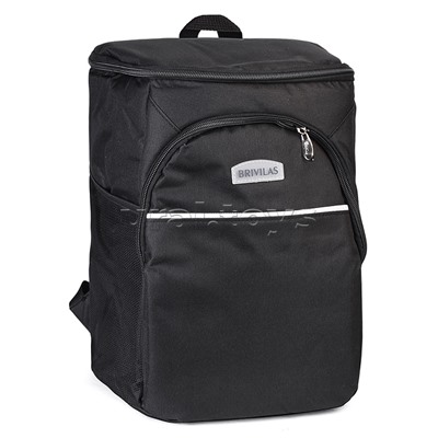 Сумка (рюкзак)-холодильник 26х20х55 см