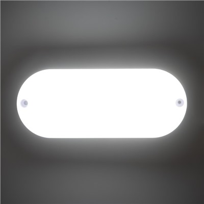 Светильник «Овал» LED 10 Вт IP65 белый 6.8×6.8×17 см