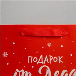 Пакет подарочный новогодний ламинированный «Подарок от Деда Мороза», ML 23×27×11.5 см