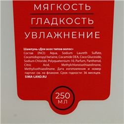 Подарочный набор косметики «Мужик №1», гель для душа 250 мл и шампунь для волос 250 мл, HARD LINE
