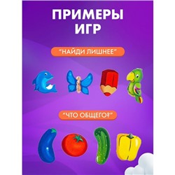 Сортер «Окружающий мир»