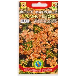 Флокс Промис Персик (Код: 81739)