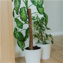 Опора для комнатных цветов, h=80 см, d=2.5 см, пластик, кокосовая оплётка, Greengo