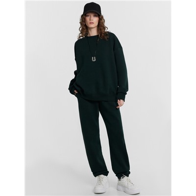 КОМПЛЕКТ ЖЕНСКИЙ (СВИТШОТ, БРЮКИ) 192562