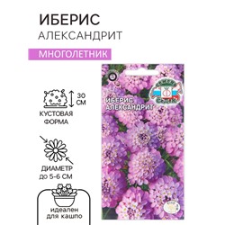Семена цветов Иберис "Александрит", Евро, 0,1 г