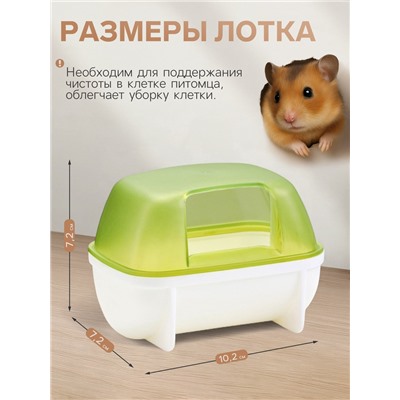 Туалет для грызунов «Пижон», 10.2×7.2×7.2 см, пластик, зелёный
