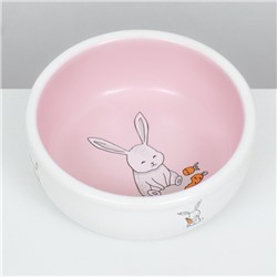Миска керамическая для кроликов 200 мл 10×3.7 см, розовая/белая
