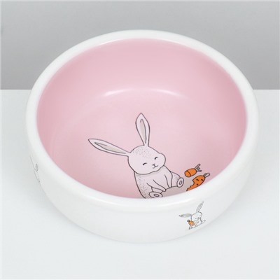 Миска керамическая для кроликов 200 мл 10×3.7 см, розовая/белая