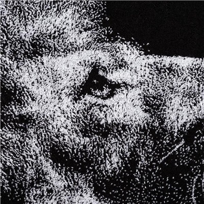 Полотенце махровое Этель «Лев», 70×130 см, 100% хлопок, 420 г/м², чёрно-белое