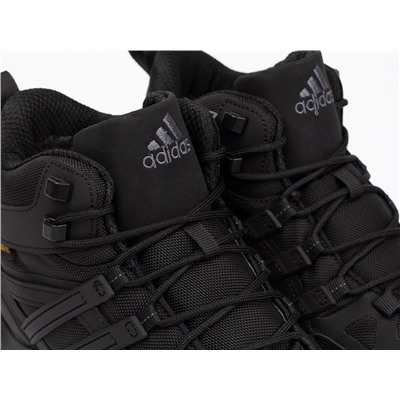 Зимние Ботинки Adidas Terrex Winter