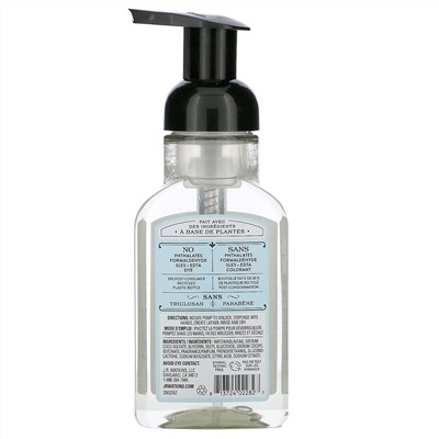 J R Watkins, Foaming Hand Soap, Ocean Breeze, 9 fl oz (266 ml)