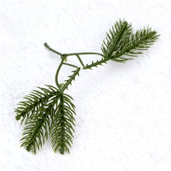 Ветка декоративная новогодняя, набор 10 шт., размер 1 шт. — 8×8×2 см