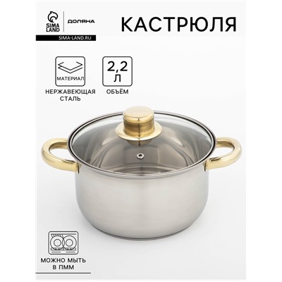 Кастрюля Доляна «Роскошь», 2.2 л, d=19 см, с крышкой, капсульное дно, нержавеющая сталь