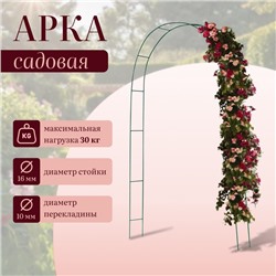 Арка садовая, 240×125×20 см, для вьющихся растений, металлическая, зелёная